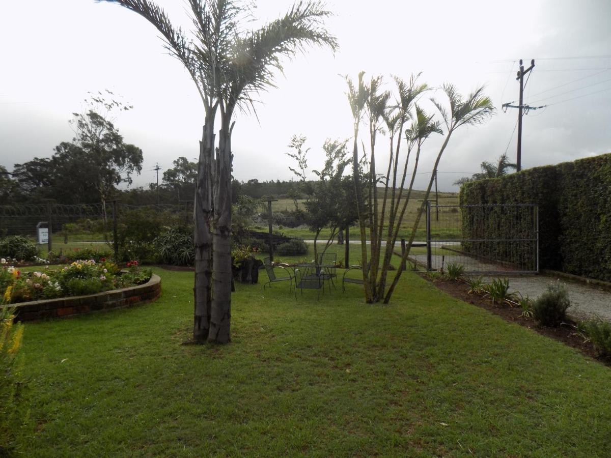 Haka Hana B&B Puerto Elizabeth Exterior foto